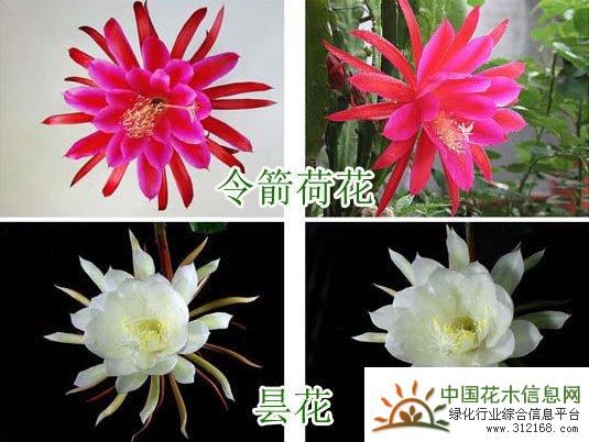 1649816263203456.jpg 1329112X6-0.jpg